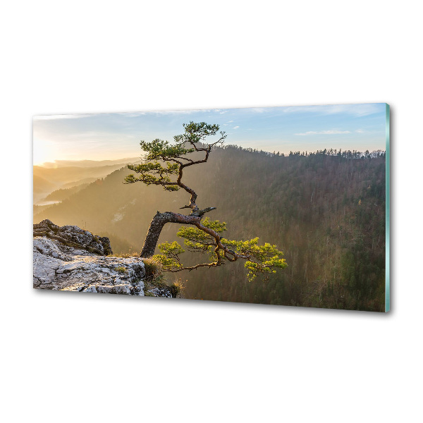 Panel do kuchni Sokolica Pieniny