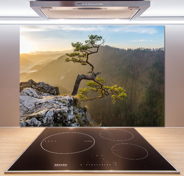 Panel do kuchni Sokolica Pieniny