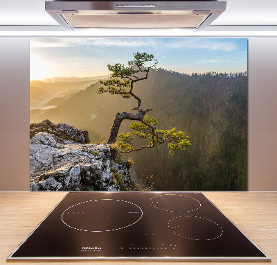 Panel do kuchni Sokolica Pieniny