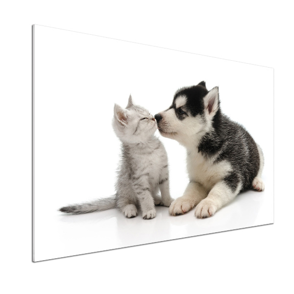 Panel de pared de cocina Perro y gato