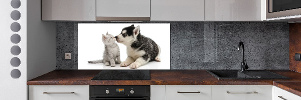 Panel de pared de cocina Perro y gato