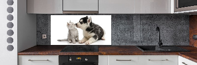 Panel de pared de cocina Perro y gato