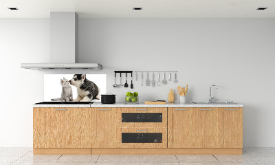 Panel de pared de cocina Perro y gato