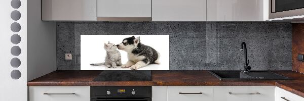 Panel de pared de cocina Perro y gato