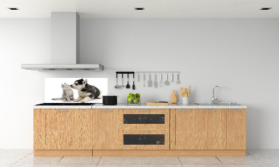 Panel de pared de cocina Perro y gato