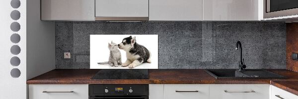 Panel de pared de cocina Perro y gato