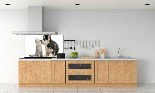 Panel de pared de cocina Perro y gato