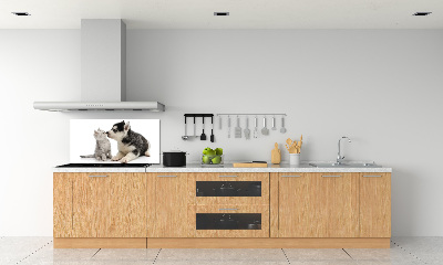 Panel de pared de cocina Perro y gato