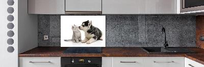 Panel de pared de cocina Perro y gato