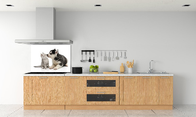 Panel de pared de cocina Perro y gato