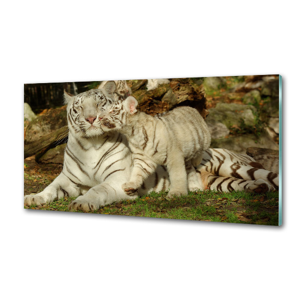 Salpicadero de cocina Tigres