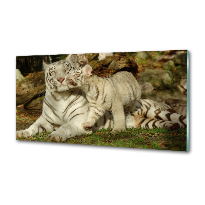 Panel szklany do kuchni Tygrysy