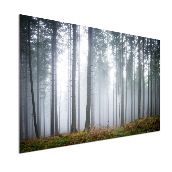 Salpicadero para cocina Niebla en el bosque