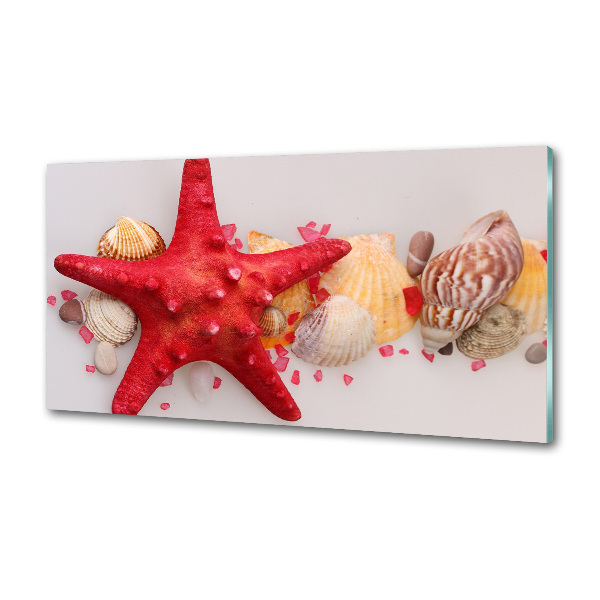 Panel de pared de cocina Estrellas de mar y conchas