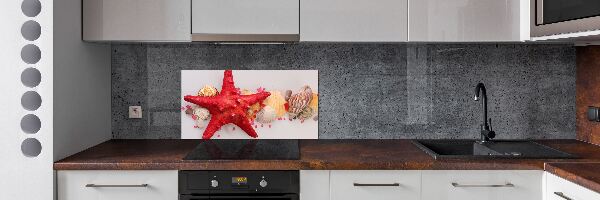 Panel de pared de cocina Estrellas de mar y conchas