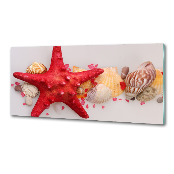 Panel de pared de cocina Estrellas de mar y conchas