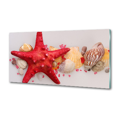 Panel de pared de cocina Estrellas de mar y conchas