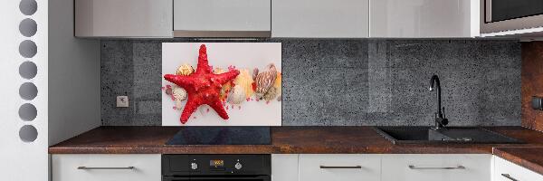 Panel de pared de cocina Estrellas de mar y conchas