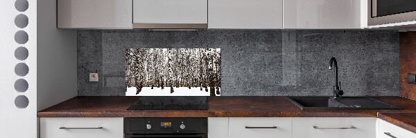Panel para cocina Abedules en invierno