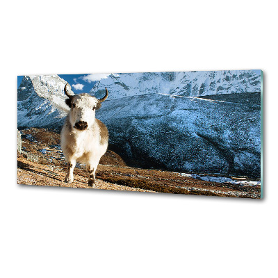 Panel między meble w kuchni Jak góry