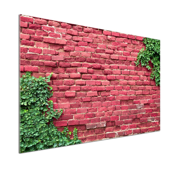 Panel antisalpicaduras pared de ladrillos