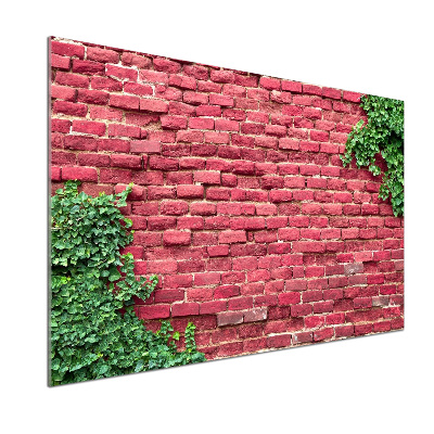 Panel antisalpicaduras pared de ladrillos