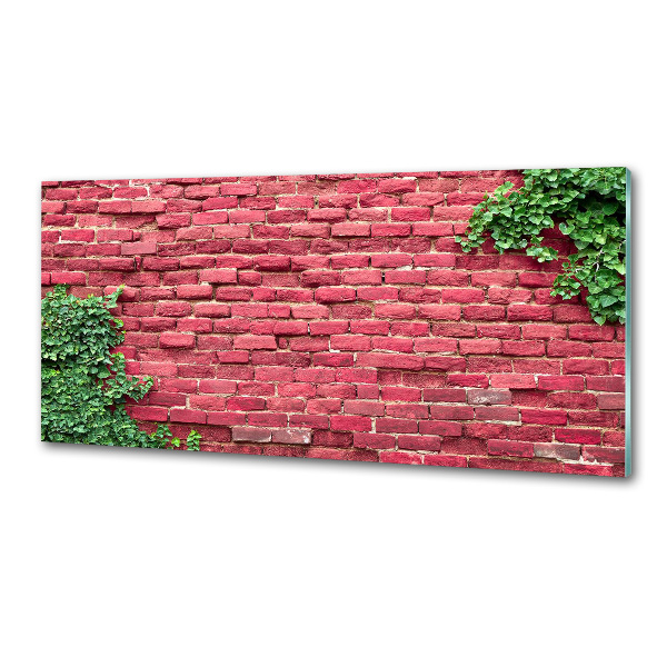 Panel antisalpicaduras pared de ladrillos