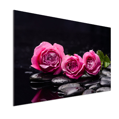 Panel antisalpicaduras rosas rosadas