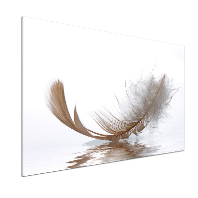 Panel de pared de cocina Una pluma en el agua