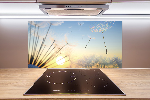 Panel do kuchni Nasiona dmuchawca