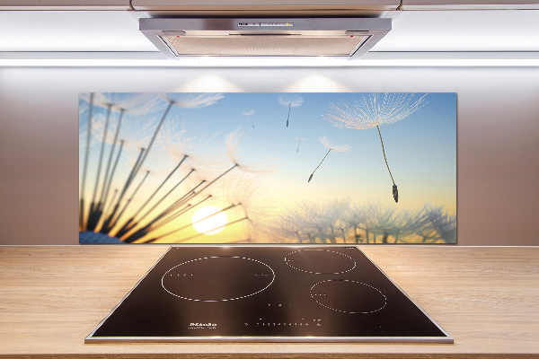 Panel de pared de cocina semillas de diente de león