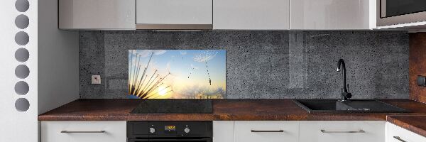 Panel de pared de cocina semillas de diente de león