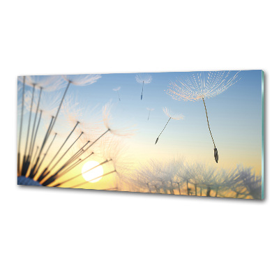 Panel de pared de cocina semillas de diente de león