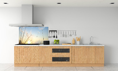 Panel de pared de cocina semillas de diente de león