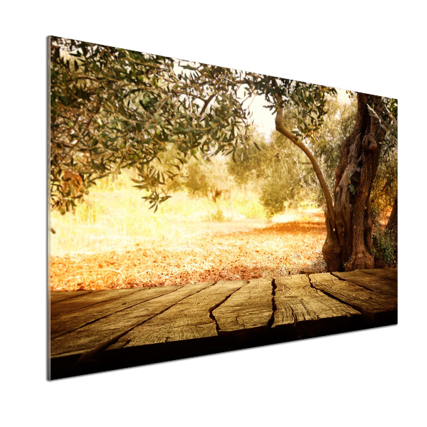 Panel do kuchni Drzewo oliwne