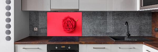 Panel para cocina Rosa roja