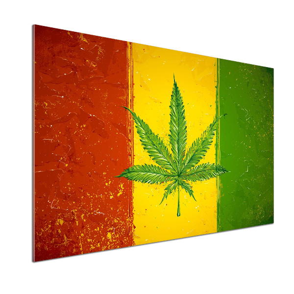 Panel antisalpicaduras Bandera rasta