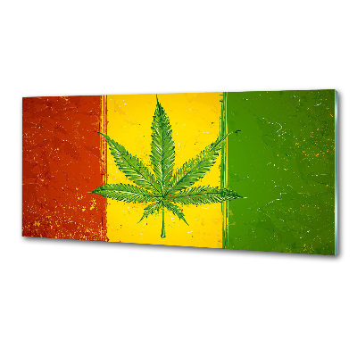 Panel antisalpicaduras Bandera rasta