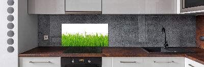 Salpicadero para cocina Césped