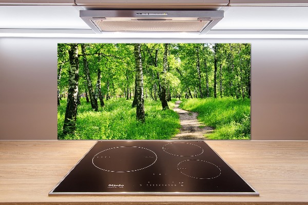 Salpicadero para cocina bosque de abedules