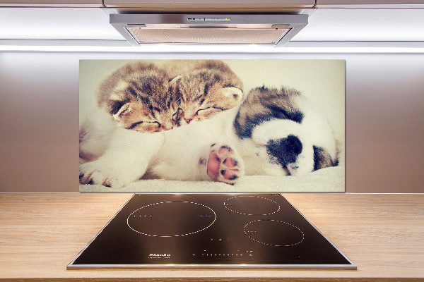 Panel para cocina Dos gatos y un perro