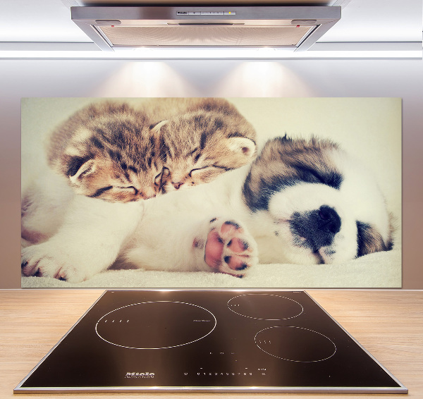 Panel para cocina Dos gatos y un perro