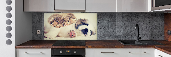 Panel para cocina Dos gatos y un perro