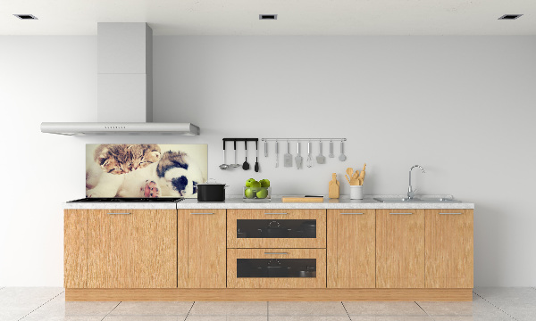 Panel para cocina Dos gatos y un perro