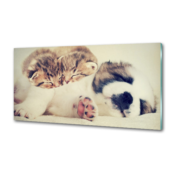 Panel para cocina Dos gatos y un perro