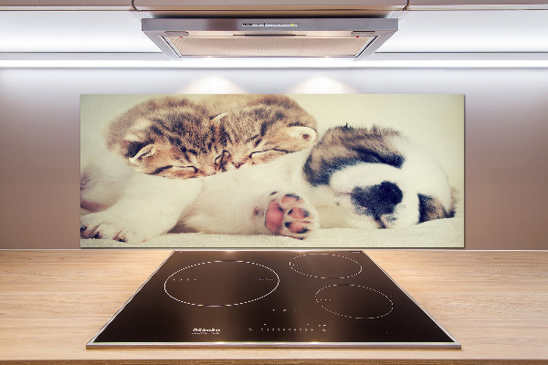 Panel para cocina Dos gatos y un perro