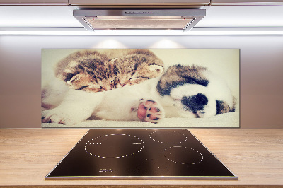 Panel para cocina Dos gatos y un perro
