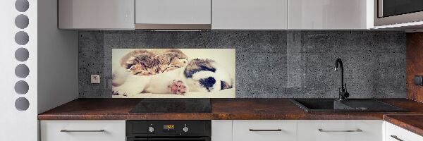 Panel para cocina Dos gatos y un perro