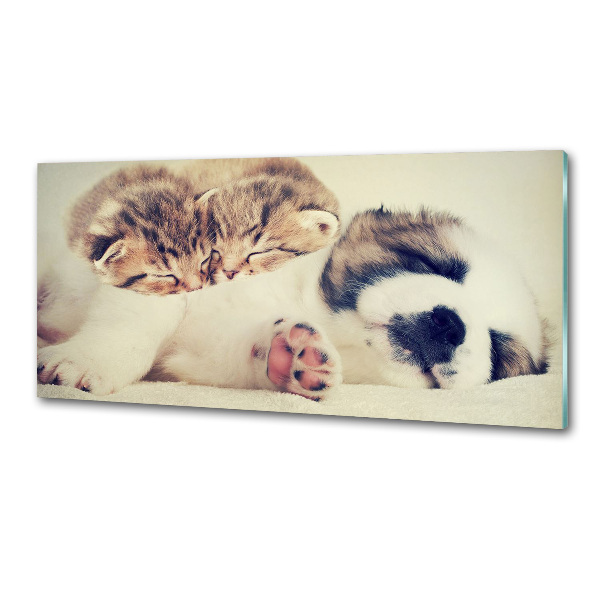 Panel para cocina Dos gatos y un perro