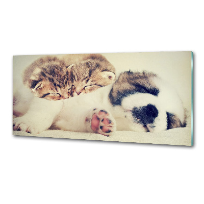 Panel para cocina Dos gatos y un perro